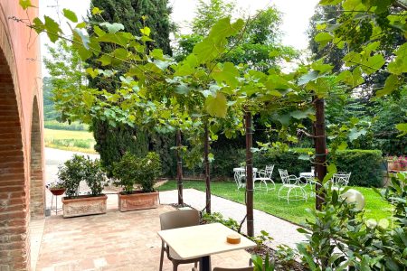 Un pittoresco patio esterno con pavimento in mattoni e un traliccio di legno ricoperto di viti all'Agriturismo Toscana. Due sedie e un tavolo con una tazza sono in primo piano, mentre più in là, sedie di metallo bianco sono appoggiate su campi erbosi circondati da vegetazione lussureggiante e alberi.