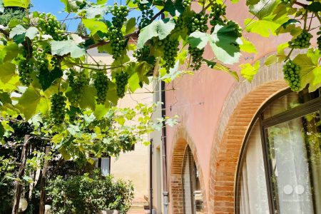 Un pittoresco agriturismo in Val d'Orcia presenta viti con grappoli rigogliosi di uva verde davanti a un edificio rustico, che vanta porte ad arco in mattoni e grandi finestre. Sotto un cielo azzurro e terso, un piccolo tavolo con sedie abbellisce il patio.